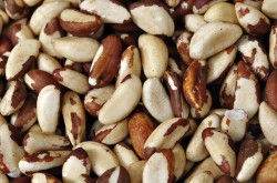 Brazil Nuts
