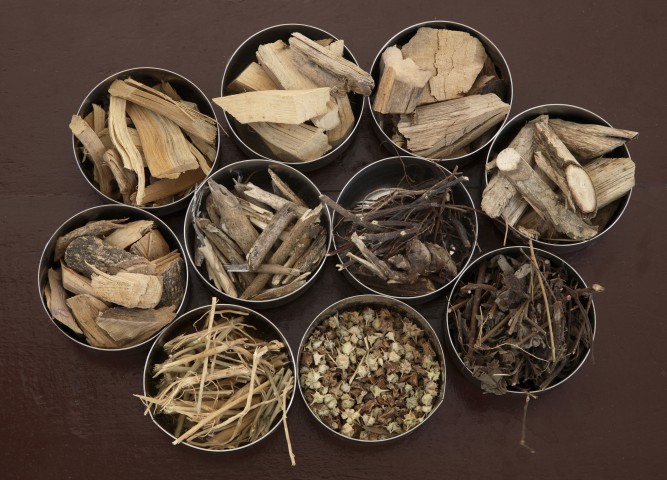Various Ayurvedic Ingredients