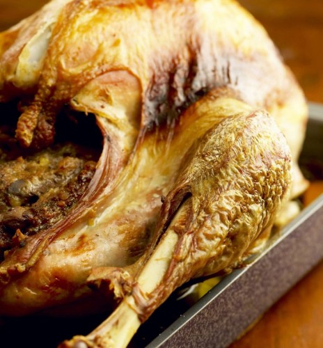 thanks giving turkey