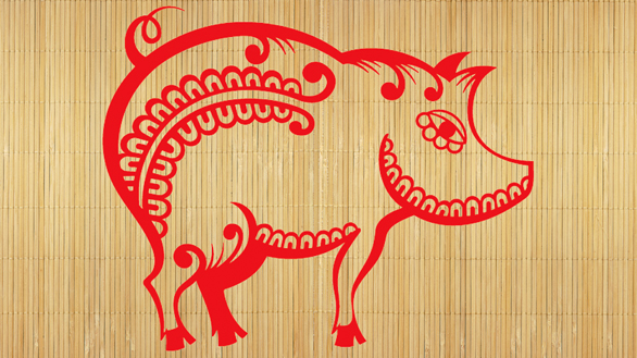 Zodiac chinezesc – Porcul