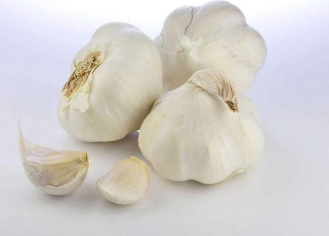 Garlic with Cloves of Garlic