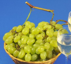 glasses of white wine and grapes