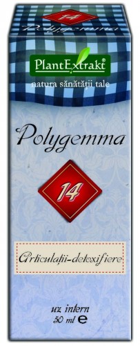 Cutia POLYGEMMA Nr 14