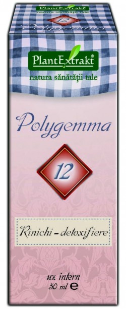 POLYGEMMA Nr 12