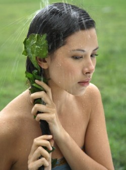 Hair Treatment with Hibiscus Leaves