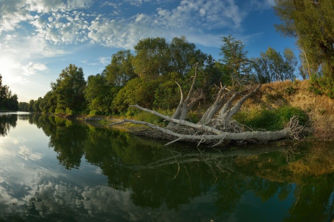 dobrogea
