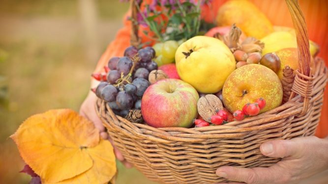 fructe de toamna