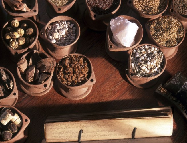 Ayurvedic Ingredients - Herbs & Plants with manuscript