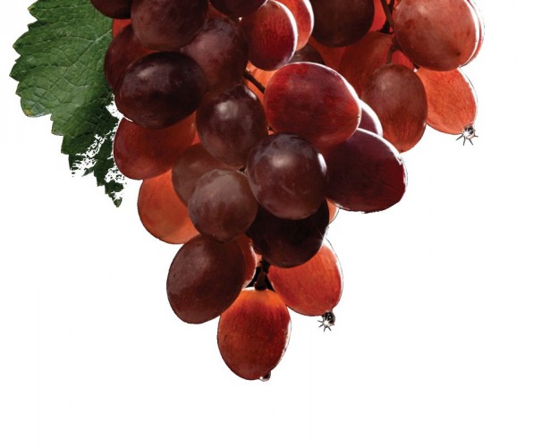 struguri