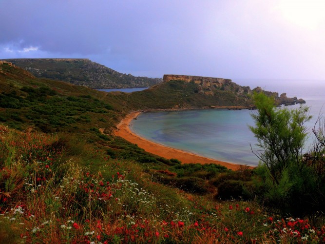 avantaje.Malta.15.05.2014
