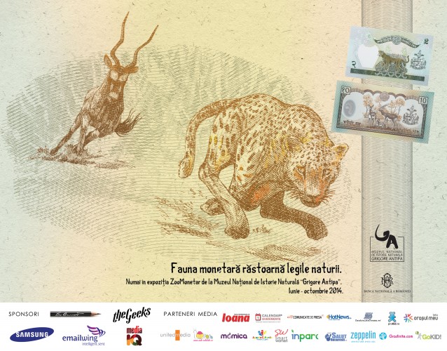 antilopa---leopard_colorat