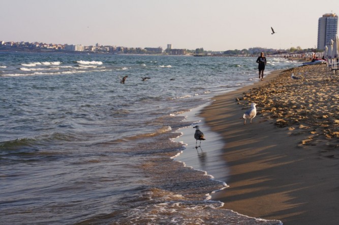 Sunny Beach