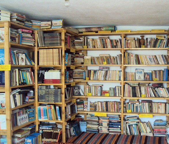 Biblioteca din casa Doinei