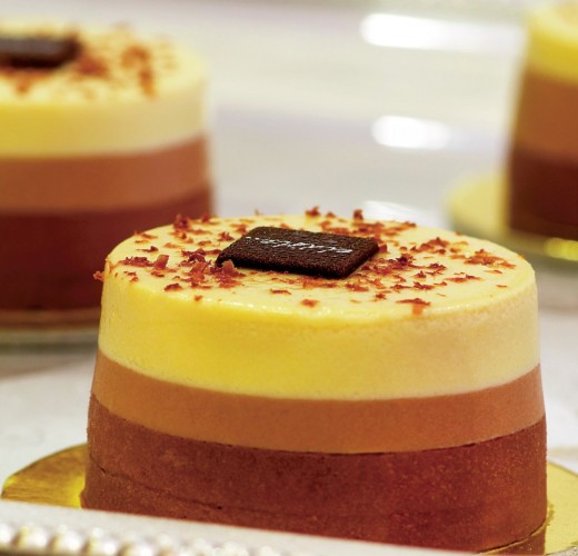 crema-bavareza-ciocolata