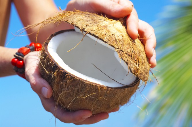 lapte-cocos