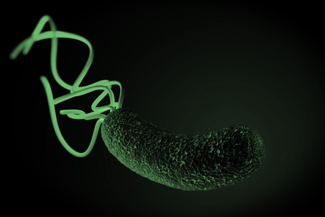 helicobacter-pylori
