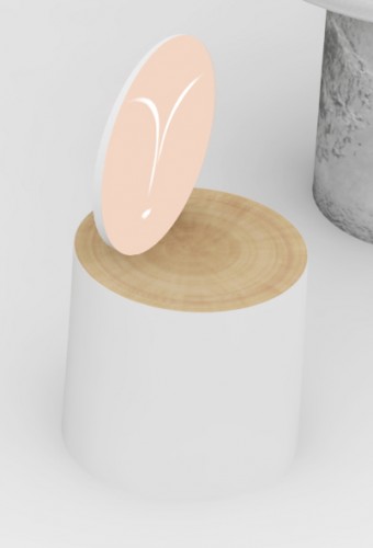 ELement Proiect NU MA UITA 2