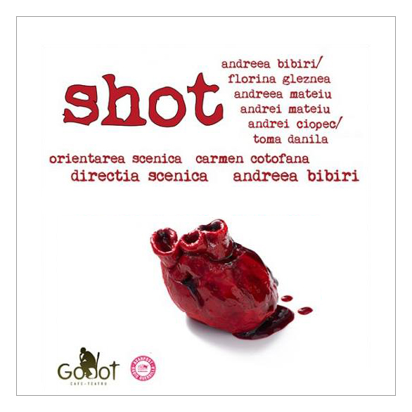 Afis Shot