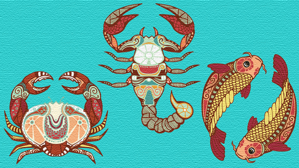 Influența elementului Apă asupra zodiilor