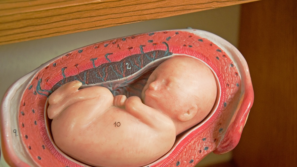 uterul artificial