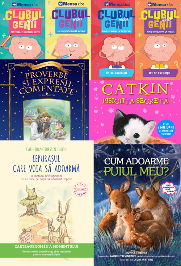 Topul Bookfest 2017 Litera Mică