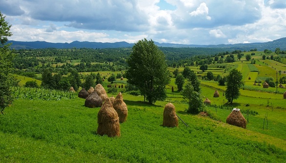 maramures