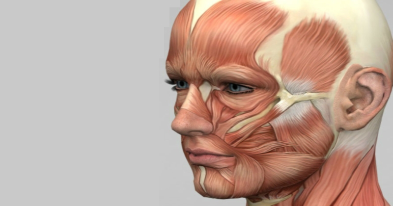 Ai Dureri De Cap Atunci Cand PlouÄ Acesta Este Motivul Sanatate Avantaje Ro De 20 De Ani Pretuieste Femei Ca Tine