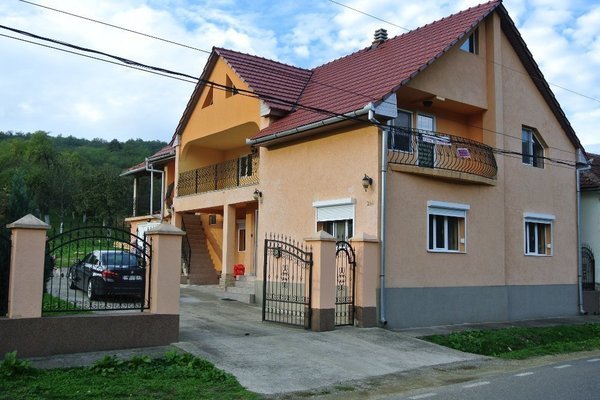 casa de vanzare in savarsin