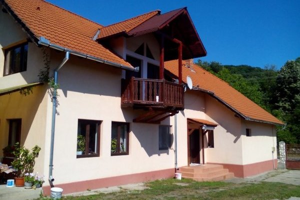 Casă de vânzare lângă Domeniul Regal de la Săvârșin