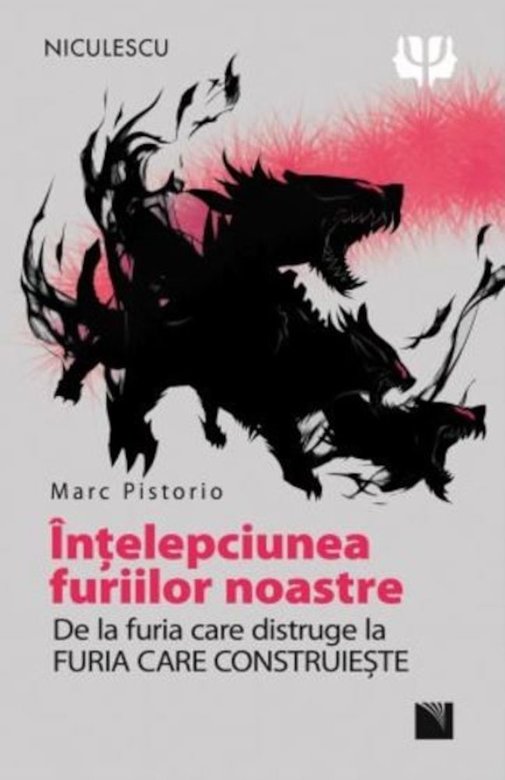 cărți de dezvoltare personală. înelepciunea furiilor noastre este una dintre cărțile de dezvoltare personală pe care trebuie să le citești