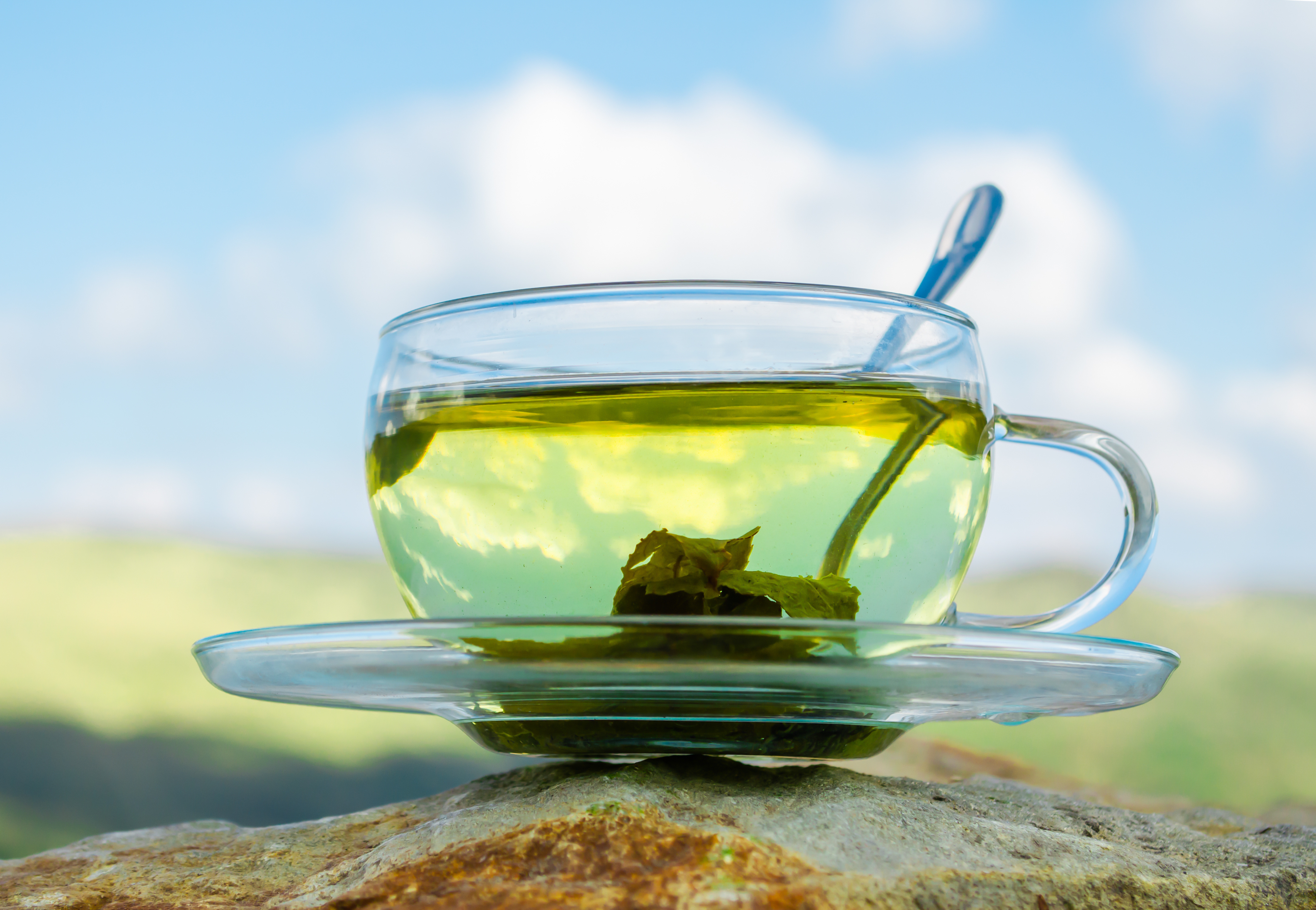 CE SPUN STUDIILE despre consumul de ceai