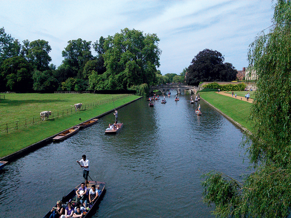 Claudia Mitrofan Cambridge