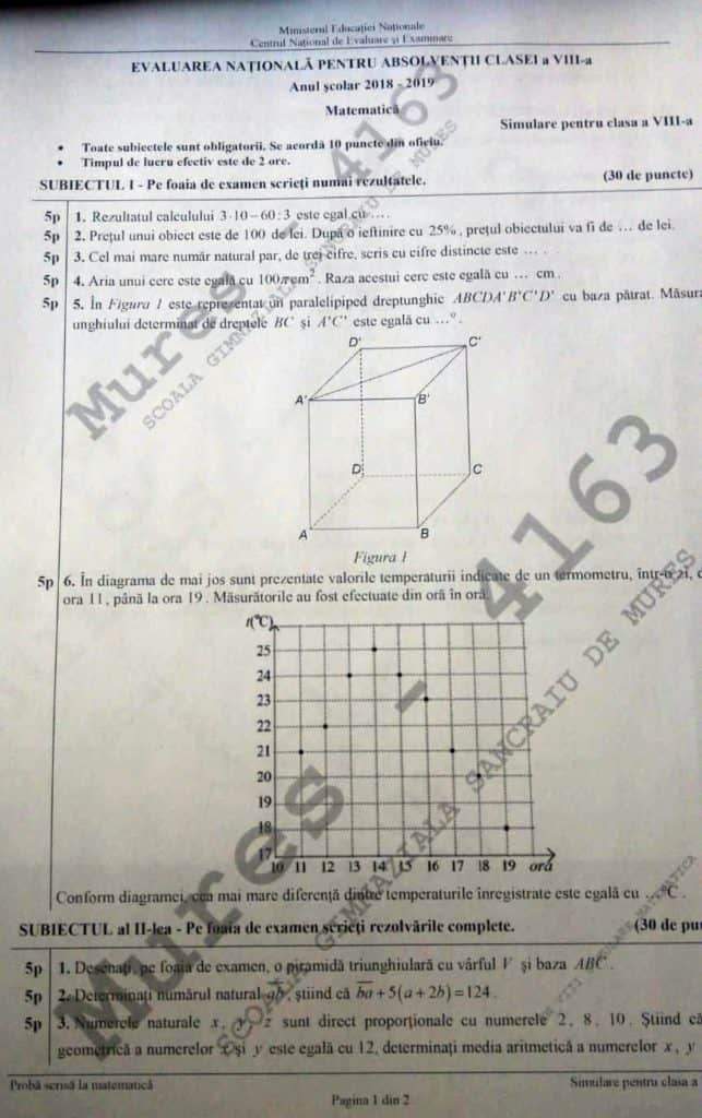 Simulare Evaluare Națională 2019 (1)