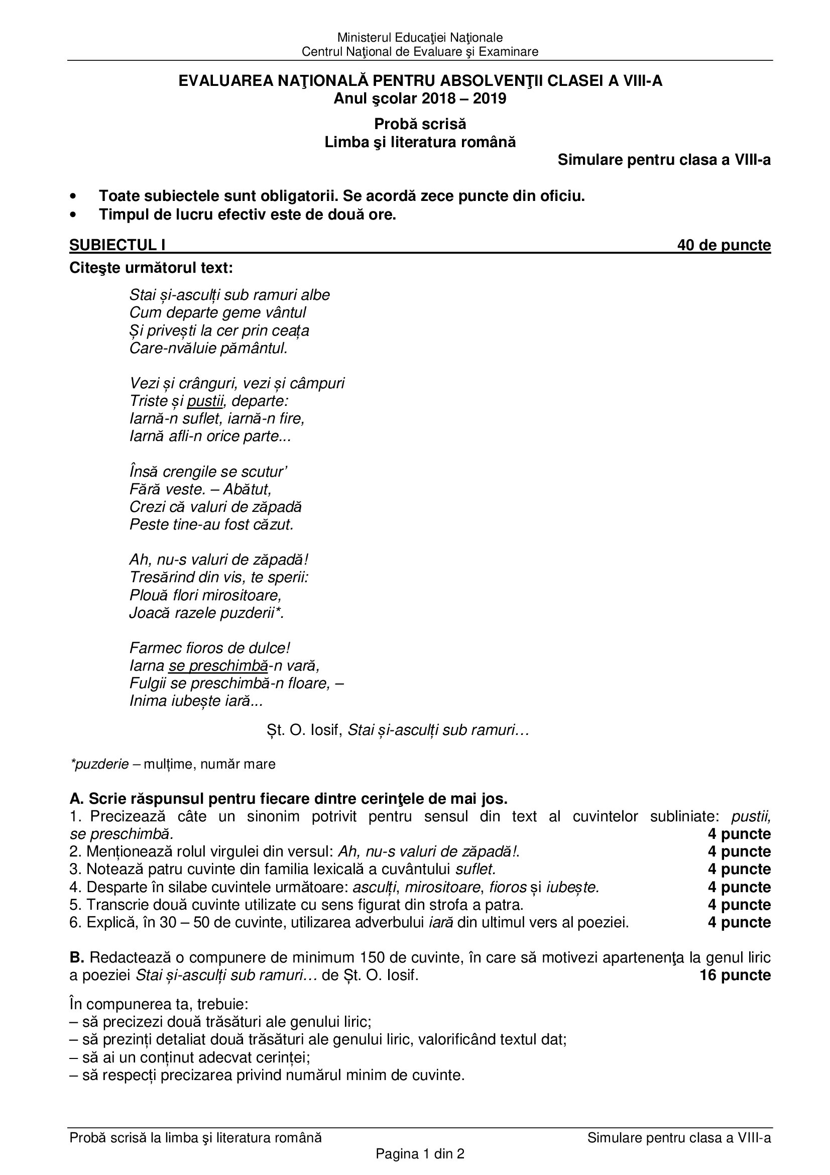 Simulare Evaluare Națională 2019