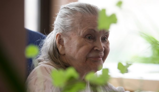 Cenusa Zinei Dumitrescu va fi depusă la rădăcina unui liliac