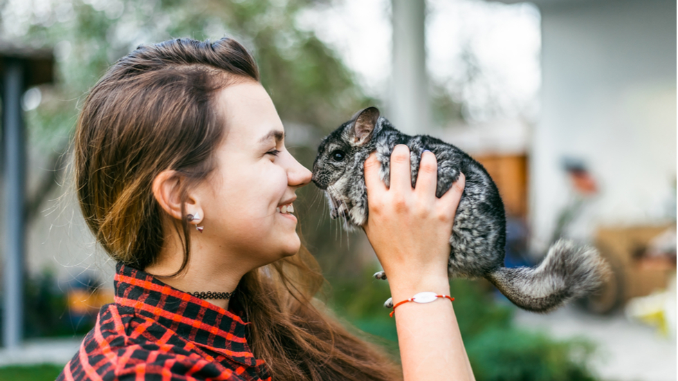 noile animale de companie preferate de romani