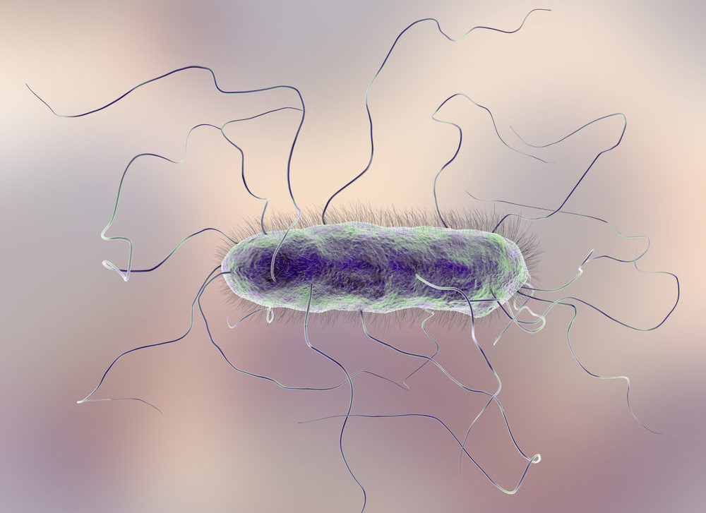 Ce este Proteus Mirabilis, bacteria greu de vindecat