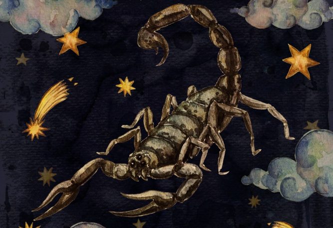 HOROSCOP 2023 SCORPION