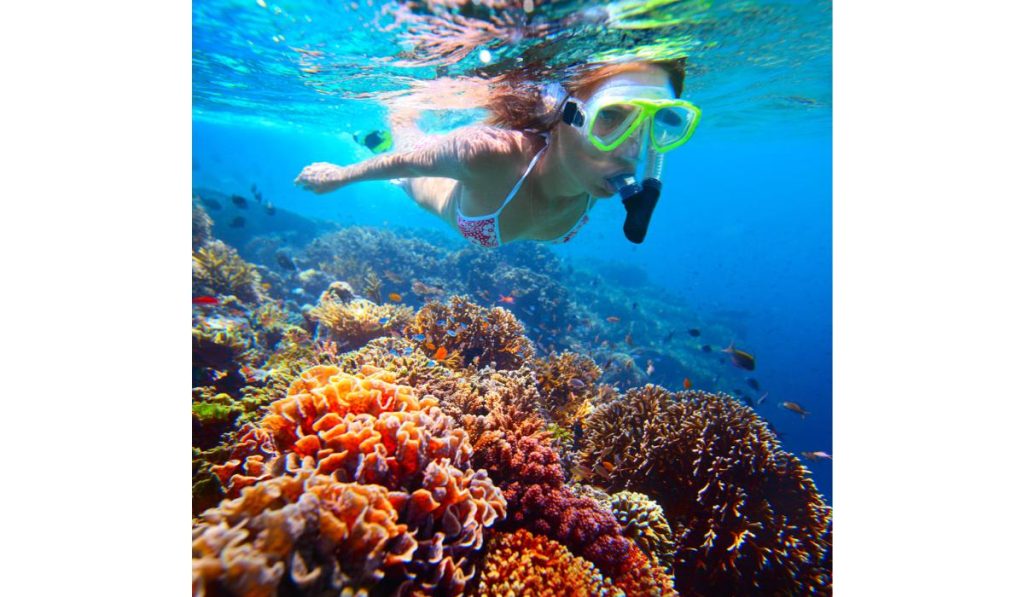 Snorkeling în Egipt: ce trebuie să știi despre recife, siguranță și echipament?